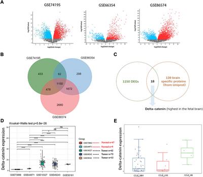 Delta-catenin attenuates medulloblastoma cell invasion by targeting EMT pathway